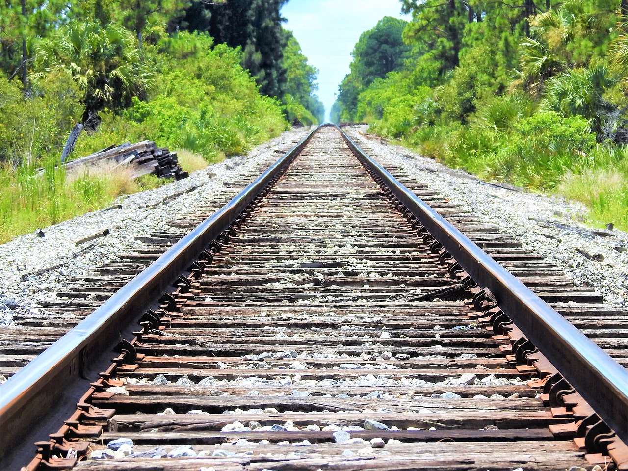tren ray
